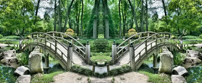 Mirror Image or Flip Photo